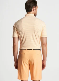 Featherweight Performance Payne Stripe Polo