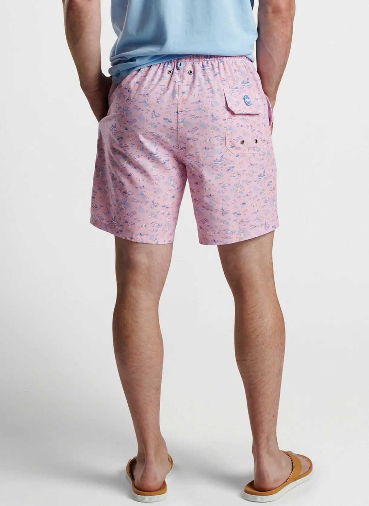 Shark Sighting Swim Trunk